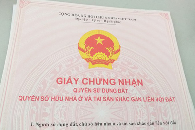 Đà Nẵng: Thông tin mới vụ nữ chuyên viên lấy hàng chục sổ đỏ của dân cho bạn mượn