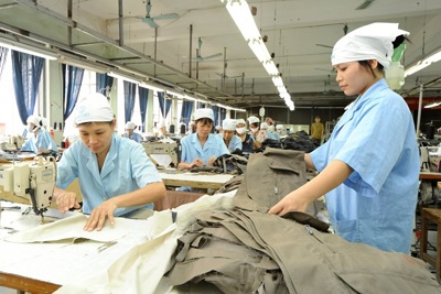 EVFTA chính thức có hiệu lực: Doanh nghiệp Việt tiến sâu vào chuỗi giá trị toàn cầu