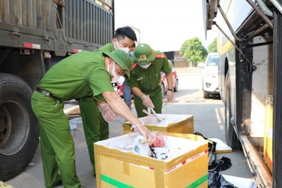 Hà Tĩnh: Bắt giữ xe khách chở 800kg thịt chó, nội tạng đang bốc mùi