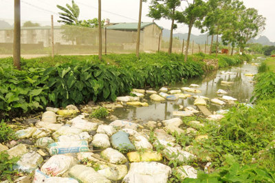 Nhức nhối ô nhiễm môi trường ở Tuy Lai