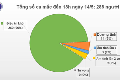 Tìm kiếm nguồn cho tạng bệnh nhân 91