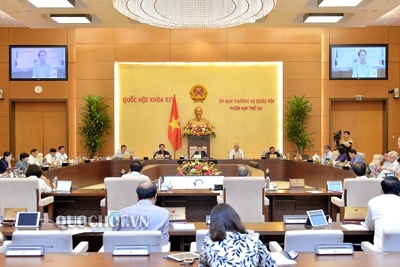 Mô hình thí điểm chính quyền đô thị tại Đà Nẵng theo hướng tăng trách nhiệm của chính quyền