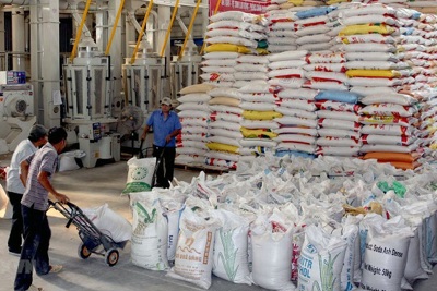 Thiếu minh bạch trong điều hành xuất khẩu gạo