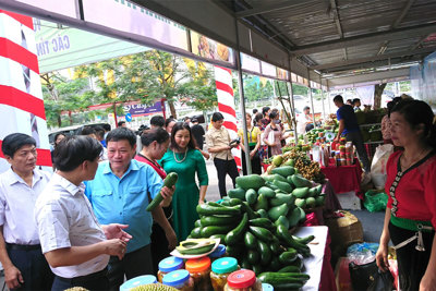 Hình ảnh về Tuần hàng trái cây, nông sản các tỉnh, thành phố tại Hà Nội
