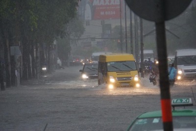 TP Hồ Chí Minh: Mưa như trút nước, đường ngập, cây đổ khắp nơi