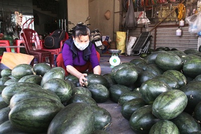 Xã Thanh Lâm, huyện Mê Linh: Khó dẹp chợ trái cây tự phát