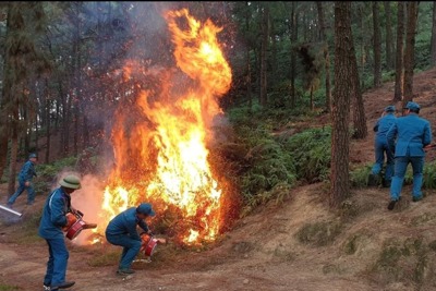 Hà Nội thực hiện các biện pháp cấp bách phòng cháy, chữa cháy rừng