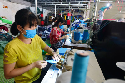 Dự cảm phục hồi kinh tế Việt Nam