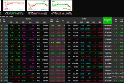Chứng khoán hôm nay 9/6: Cổ phiếu chốt lời mạnh, sàn HOSE chưa có kết quả  đợt khớp ATC