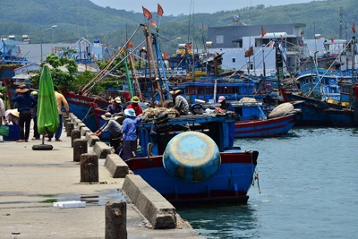 Hồi sinh cho cảng cá Sa Huỳnh