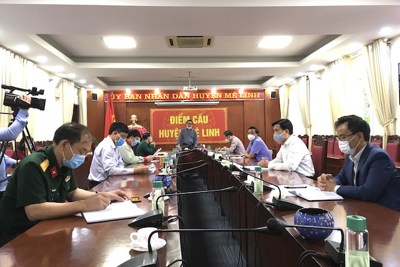 Huyện Mê Linh đề xuất hỗ trợ nông dân trồng hoa, rau màu bị ảnh hưởng dịch Covid-19