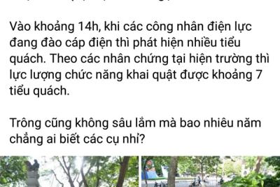 Hà Nội: Mộ mới phát hiện ở đền Ngọc Sơn không phải mộ cổ