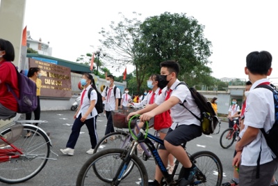 Hà Nội: Bắt đầu tổng rà soát cây xanh trong trường học