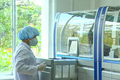 Quảng Nam thanh tra các gói thầu mua sắm vật tư y tế phòng chống Covid-19