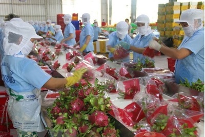 Doanh nghiệp Việt cần lưu ý gì khi xuất khẩu hàng hóa sang Trung Quốc?