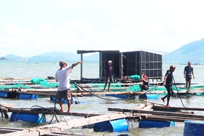 Phó Thủ tướng Trịnh Đình Dũng chỉ đạo bảo đảm an toàn cho người dân trước nguy cơ bão số 5