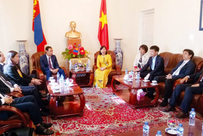 Đại sứ Đặc mệnh toàn quyền nước CHXHCN Việt Nam tại Mông Cổ: Thúc đẩy quan hệ hợp tác Hà Nội - Ulan Bator