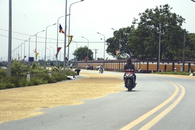 Hà Nội: Phơi thóc trên đường gây mất an toàn giao thông