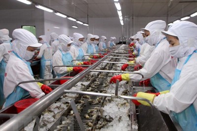 Phái đoàn EC sang Việt Nam xem xét về “thẻ vàng” thủy sản
