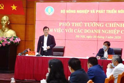 Không để người dân thiếu thịt lợn trong dịch Covid-19