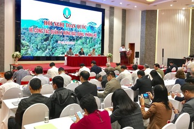 Trung bình mỗi năm, Việt Nam trồng mới gần 11.500ha rừng phòng hộ, đặc dụng