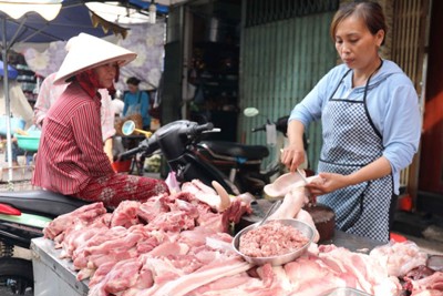 Gần 730.000 tấn thực phẩm bù đắp thiếu hụt thịt lợn dịp Tết Canh Tý 2020