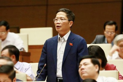 Đại biểu Quốc hội chất vấn về việc cài cắm "đường lưỡi bò" vào hàng hóa ở Việt Nam