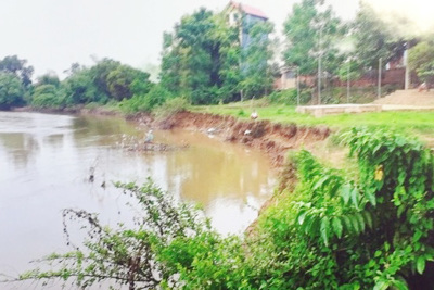 Xử lý cấp bách sạt lở sông Cà Lồ, huyện Sóc Sơn