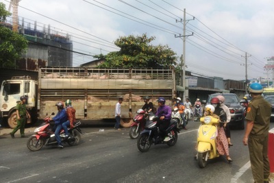 Xe tải chở 50 con lợn tông thẳng vào nhà dân ven đường