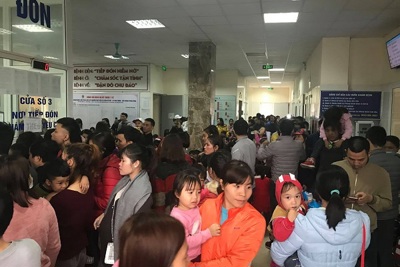 19 trường của Thuận Thành (Bắc Ninh) được miễn phí xét nghiệm sán lợn