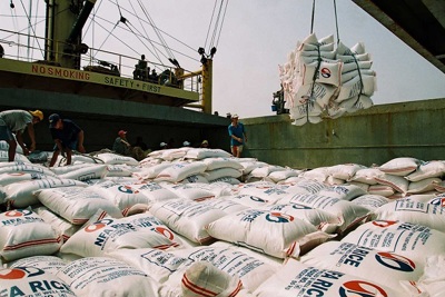 Thị trường xuất khẩu gạo năm 2019: Cạnh tranh khốc liệt