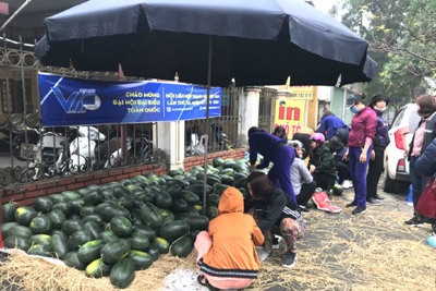 Hội Phụ nữ quận Hà Đông chung tay hỗ trợ nông dân Gia Lai tiêu thụ dưa hấu