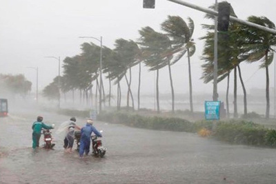Chuyên gia khí tượng nêu 3 kịch bản bão Wipha đổ bộ vào đất liền