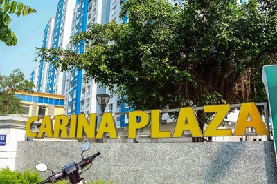 Phủ nhận là chủ đầu tư Carina Plaza, cổ phiếu NBB vẫn liên tục lao dốc