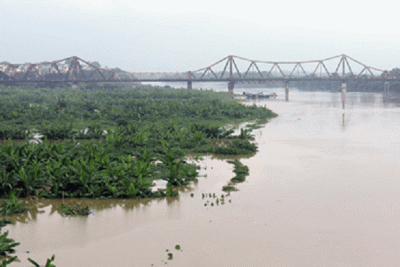 Hà Nội: Yêu cầu theo dõi chặt diễn biến lũ trên các sông