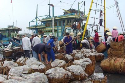 Đề xuất xây dựng kho dữ liệu về tàu cá toàn quốc