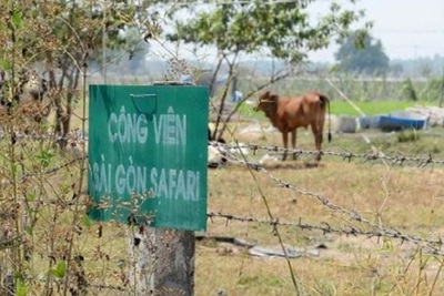 TP Hồ Chí Minh: Hơn 104 tỷ đồng bị thất thoát tại dự án Safari