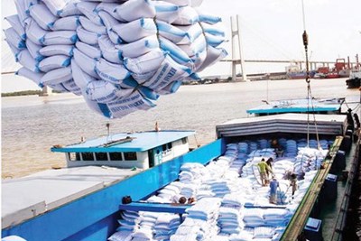 Xuất khẩu gạo 8 tháng năm 2018 tăng cả về khối lượng và kim ngạch