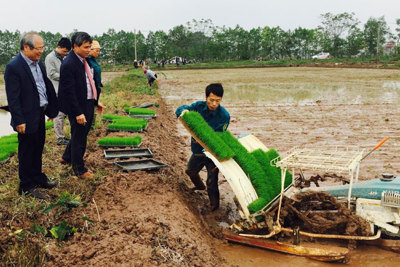 Quỹ Khuyến nông Hà Nội: Gỡ khó cho cơ giới hóa sản xuất