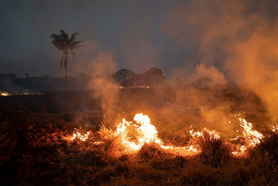 "Lá phổi thế giới" chìm trong biển lửa: Những hình ảnh và con số báo động