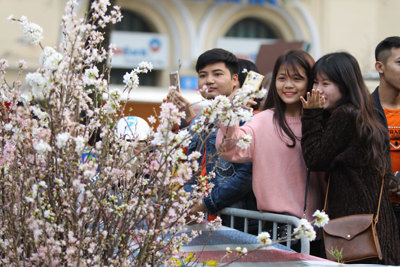 Lễ hội giao lưu văn hóa Nhật Bản: Điểm hẹn của du lịch Hà Nội