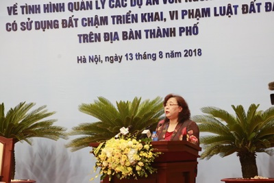 Chủ tịch HĐND TP Nguyễn Thị Bích Ngọc: Khắc phục ngay bất cập trong phối hợp quản lý dự án sử dụng đất