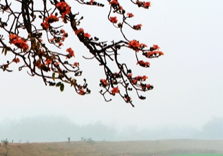 Hà Nội: Sương mù nhiều khiến cho chất lượng không khí giảm rõ rệt
