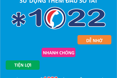 Đà Nẵng chính thức sử dụng đầu số tắt *1022