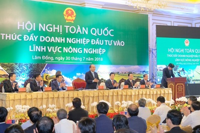 Khơi dòng vốn vào nông nghiệp