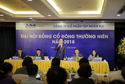 Tập đoàn FLC đạt tăng trưởng doanh thu 87,8% năm 2017