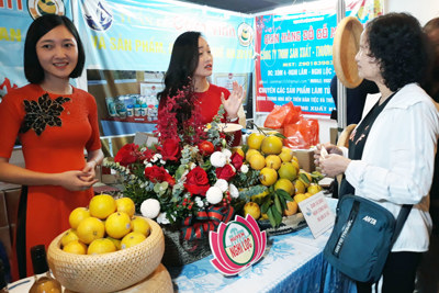Nghệ An mở rộng thị trường tiêu thụ cam Vinh, đặc sản vùng miền tại Hà Nội