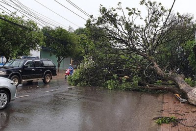 Hà Nội: Cấp bách ứng phó áp thấp nhiệt đới mạnh dần thành bão