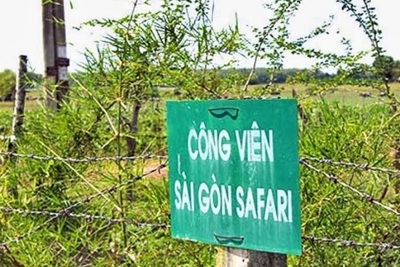 TP Hồ Chí Minh: Công bố kết luật thanh tra toàn diện dự án Sài Gòn Safari