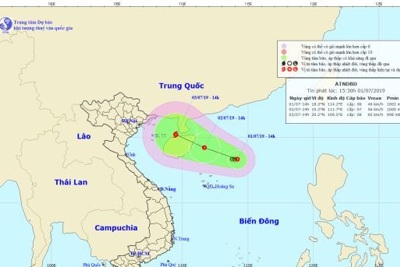 Vừa dứt nắng nóng, các tỉnh Bắc Bộ đối diện nguy cơ bão cấp 11 đổ bộ